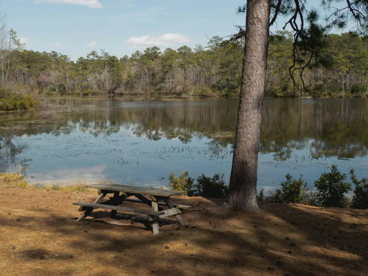 Thinking About Moving to South Carolina? Let Brightside Moving Group Handle Everything for You! 